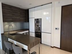 The Scotts Tower (D9), Condominium #597034151